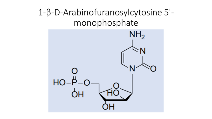 1-%ce%b2-d-arabinofuranosylcytosine-5-monophosphate