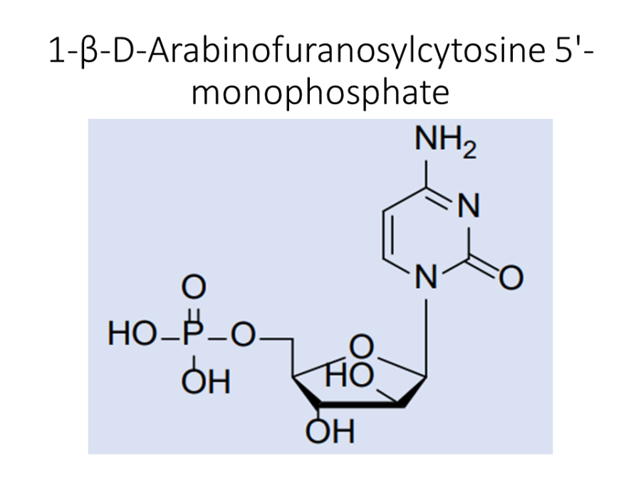 1-%ce%b2-d-arabinofuranosylcytosine-5-monophosphate