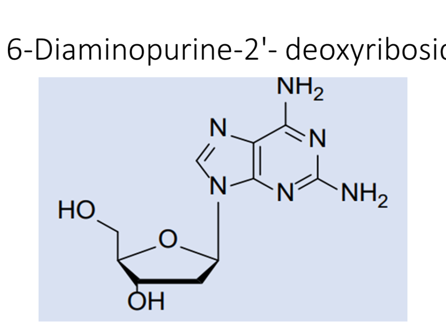 2-6-diaminopurine-2-deoxyriboside