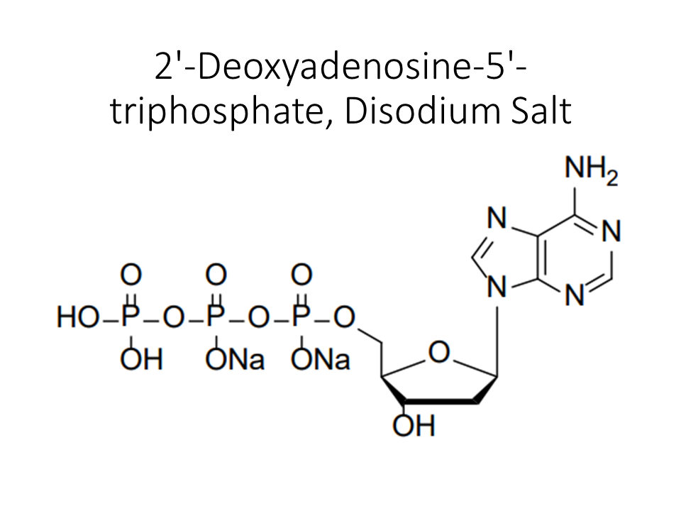 2-deoxyadenosine-5-triphosphate-disodium-salt