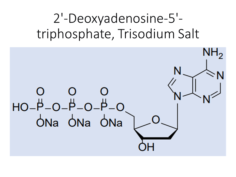 2-deoxyadenosine-5-triphosphate-trisodium-salt