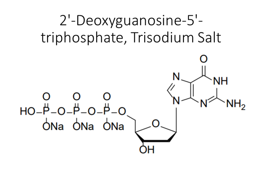 2-deoxyguanosine-5-triphosphate-trisodium-salt