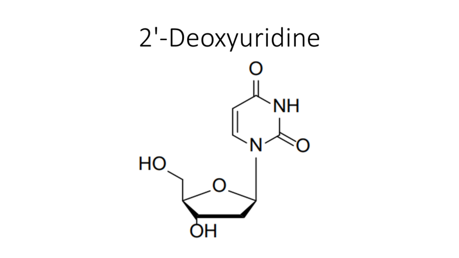 2-deoxyuridine