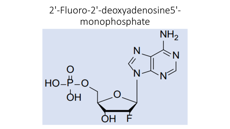 2-fluoro-2-deoxyadenosine5-monophosphate