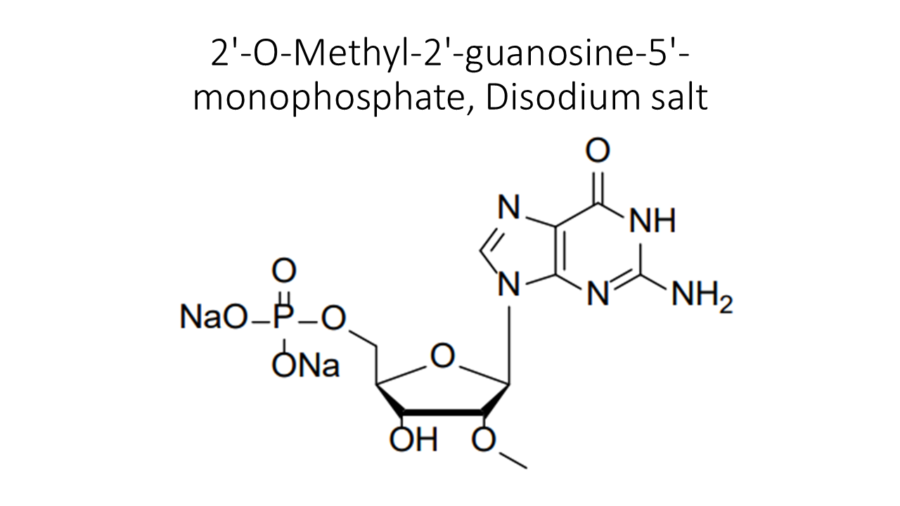 2-o-methyl-2-guanosine-5-monophosphate-disodium-salt