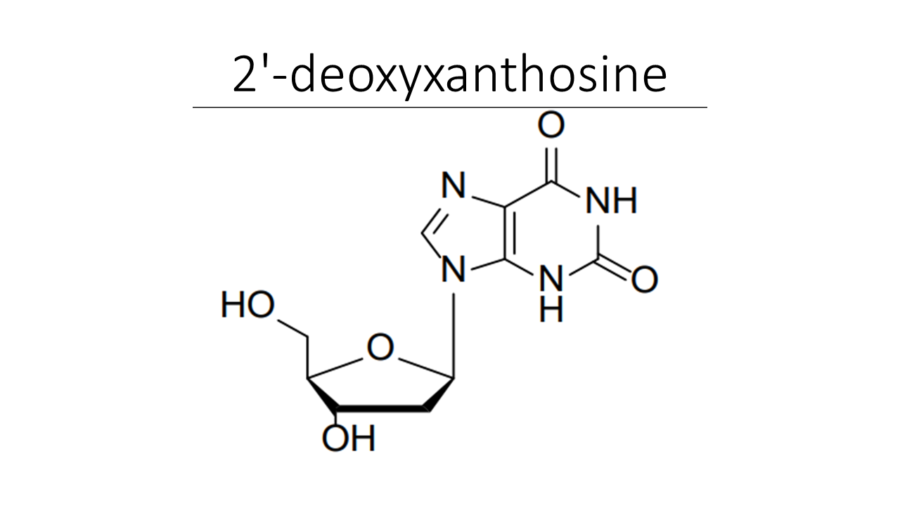 2-deoxyxanthosine