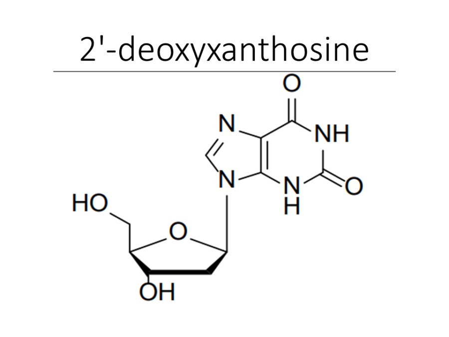 2-deoxyxanthosine
