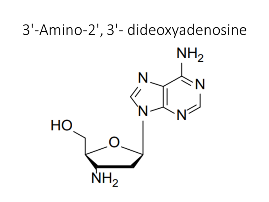 3-amino-2-3-dideoxyadenosine