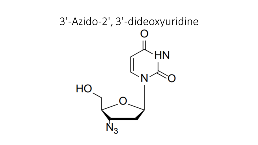 3-azido-2-3-dideoxyuridine