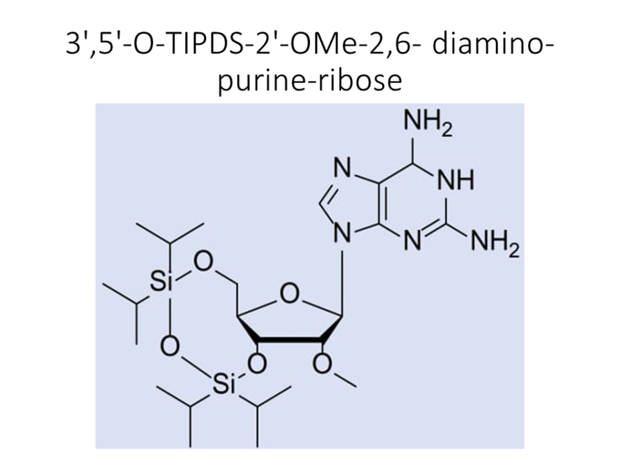 35-o-tipds-2-ome-26-diamino-purine-ribose