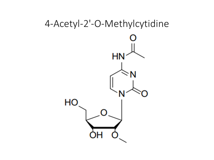 4-acetyl-2-o-methylcytidine