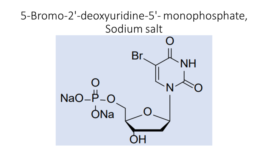 5-bromo-2-deoxyuridine-5-monophosphate-sodium-salt
