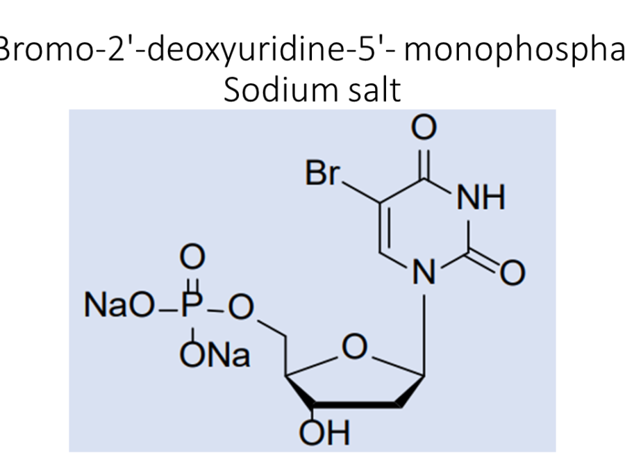 5-bromo-2-deoxyuridine-5-monophosphate-sodium-salt