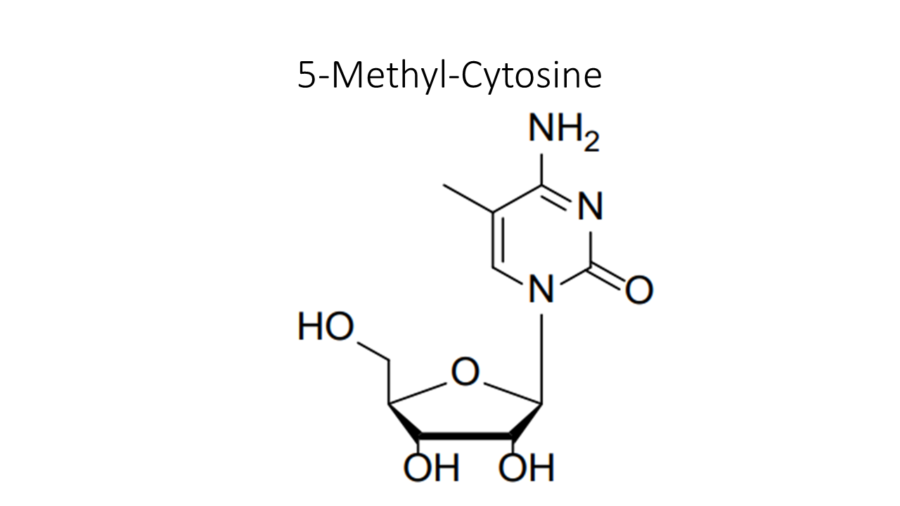 5-methyl-cytosine