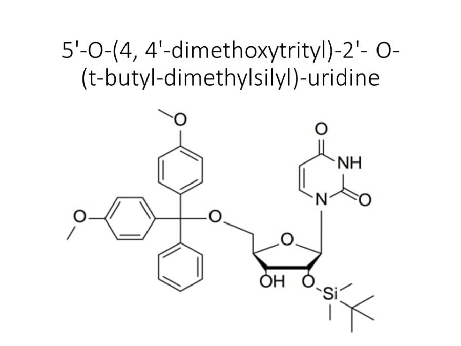 5-o-4-4-dimethoxytrityl-2-o-t-butyl-dimethylsilyl-uridine