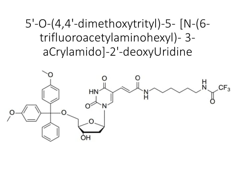 5-o-44-dimethoxytrityl-5-n-6-trifluoroacetylaminohexyl-3-acrylamido-2-deoxyuridine