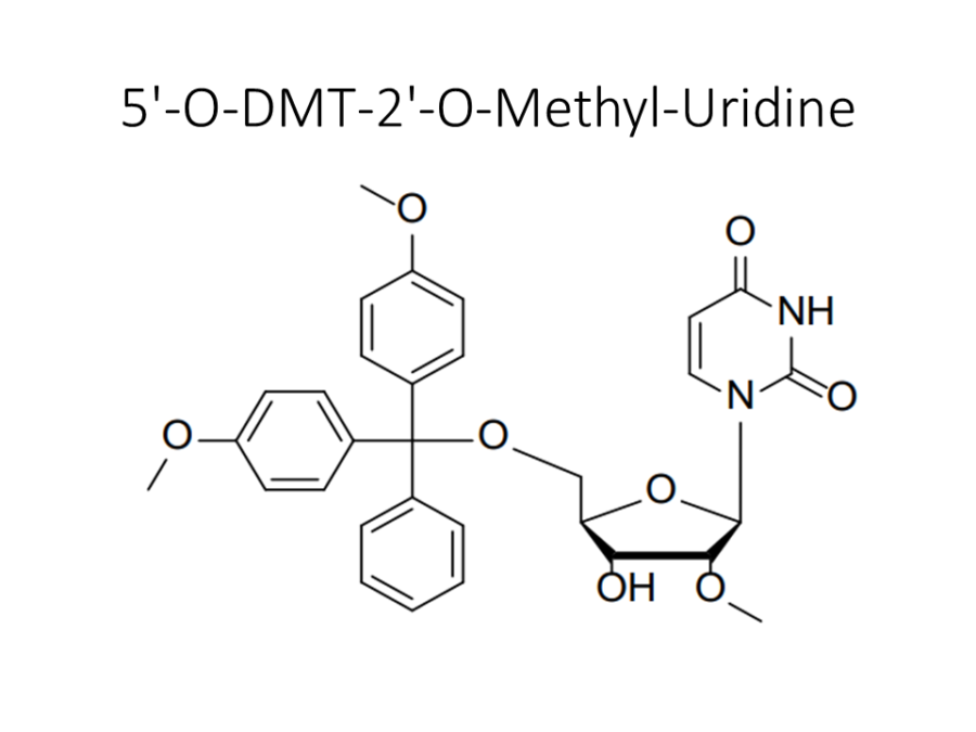 5-o-dmt-2-o-methyl-uridine