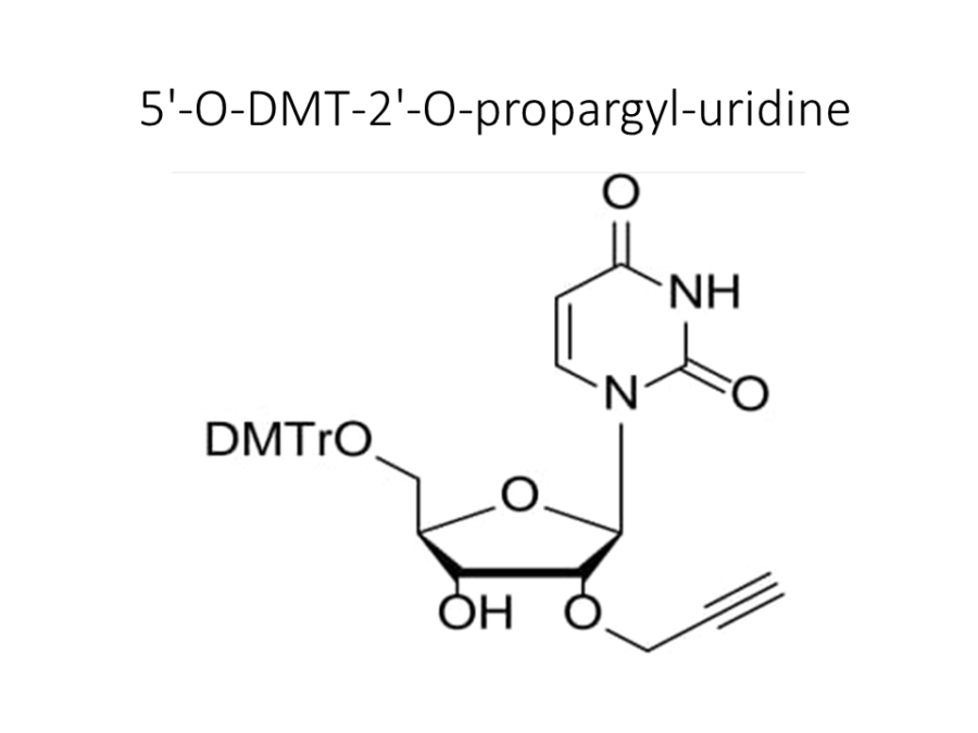 5-o-dmt-2-o-propargyl-uridine