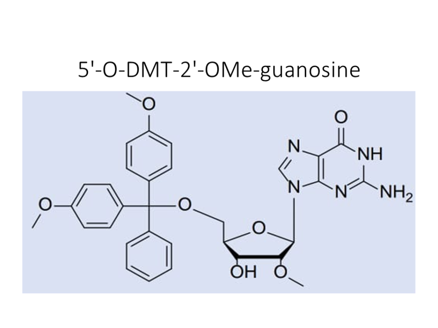 5-o-dmt-2-ome-guanosine