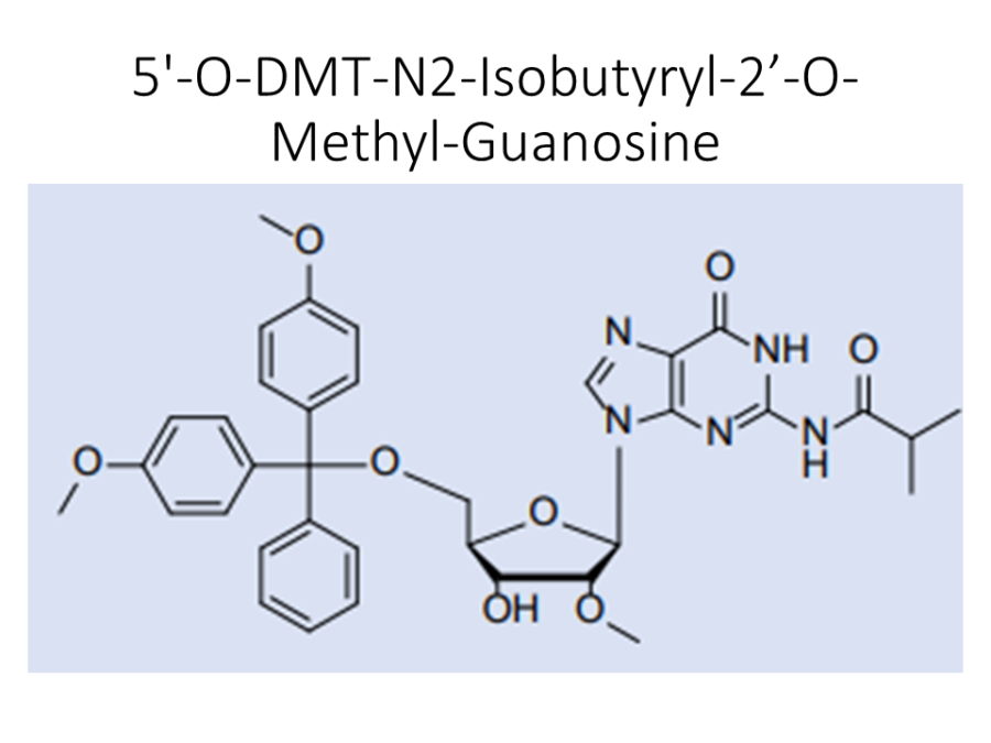 5-o-dmt-n2-isobutyryl-2-o-methyl-guanosine