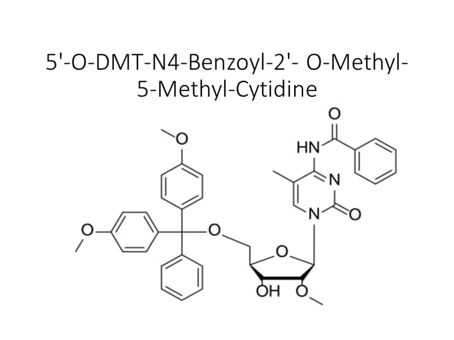 5-o-dmt-n4-benzoyl-2-o-methyl-5-methyl-cytidine