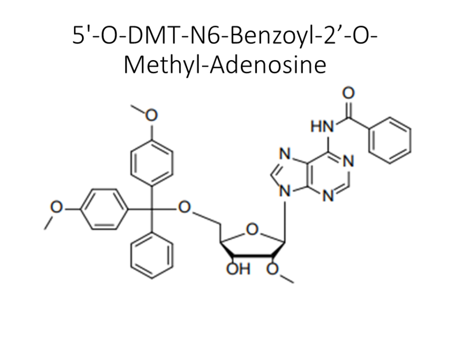 5-o-dmt-n6-benzoyl-2-o-methyl-adenosine