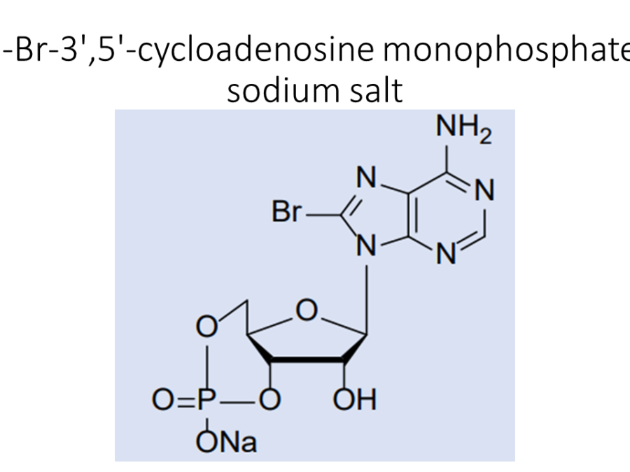 8-br-35-cycloadenosine-monophosphate-sodium-salt