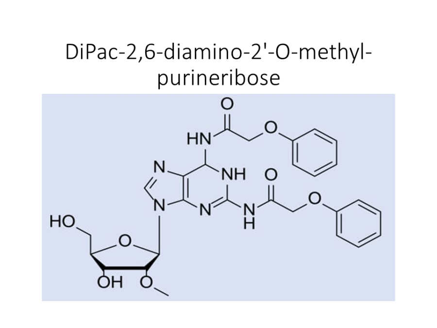 dipac-26-diamino-2-o-methyl-purineribose