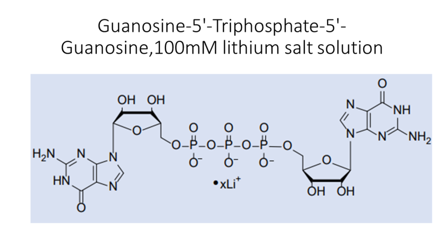 guanosine-5-triphosphate-5-guanosine100mm-lithium-salt-solution