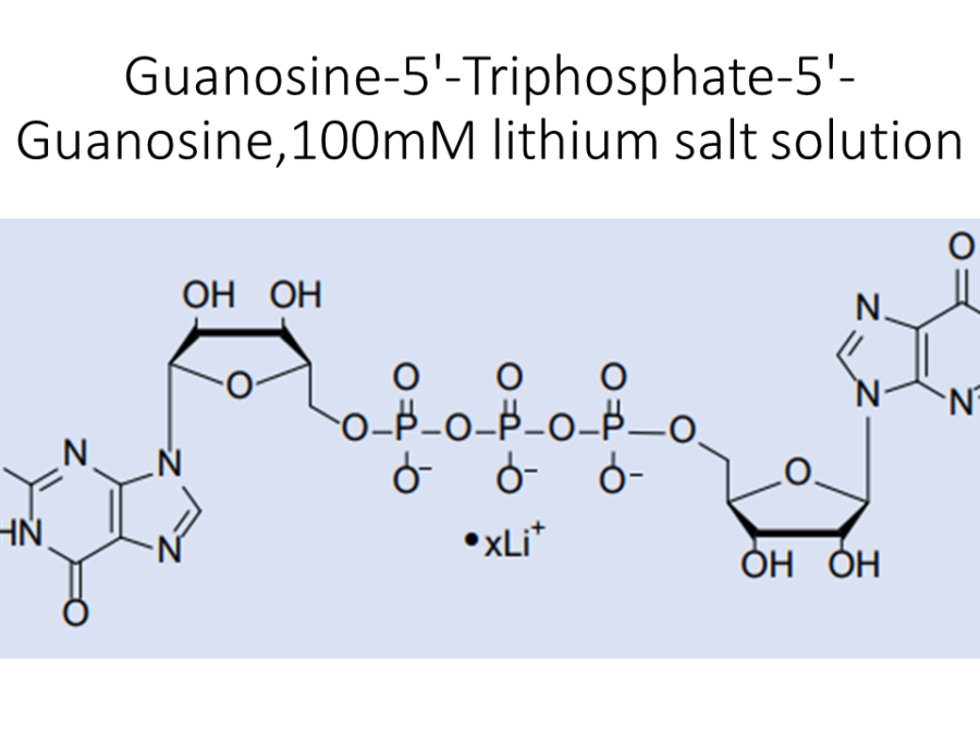guanosine-5-triphosphate-5-guanosine100mm-lithium-salt-solution