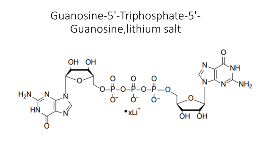 guanosine-5-triphosphate-5-guanosinelithium-salt
