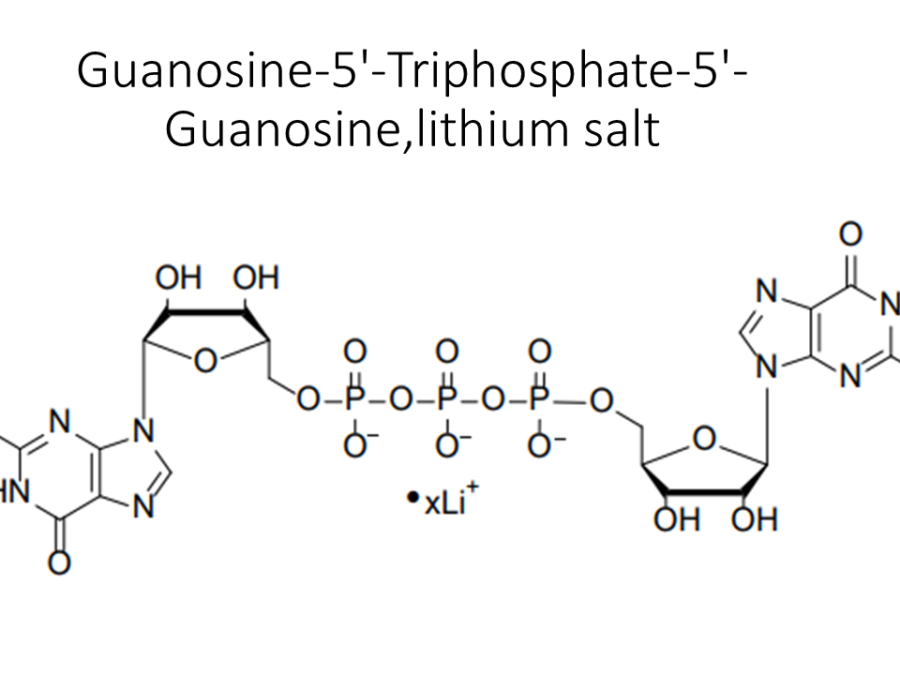 guanosine-5-triphosphate-5-guanosinelithium-salt
