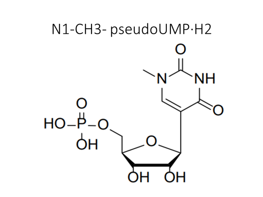 n1-ch3-pseudoump%c2%b7h2