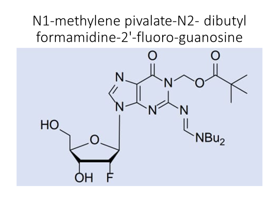 n1-methylene-pivalate-n2-dibutyl-formamidine-2-fluoro-guanosine