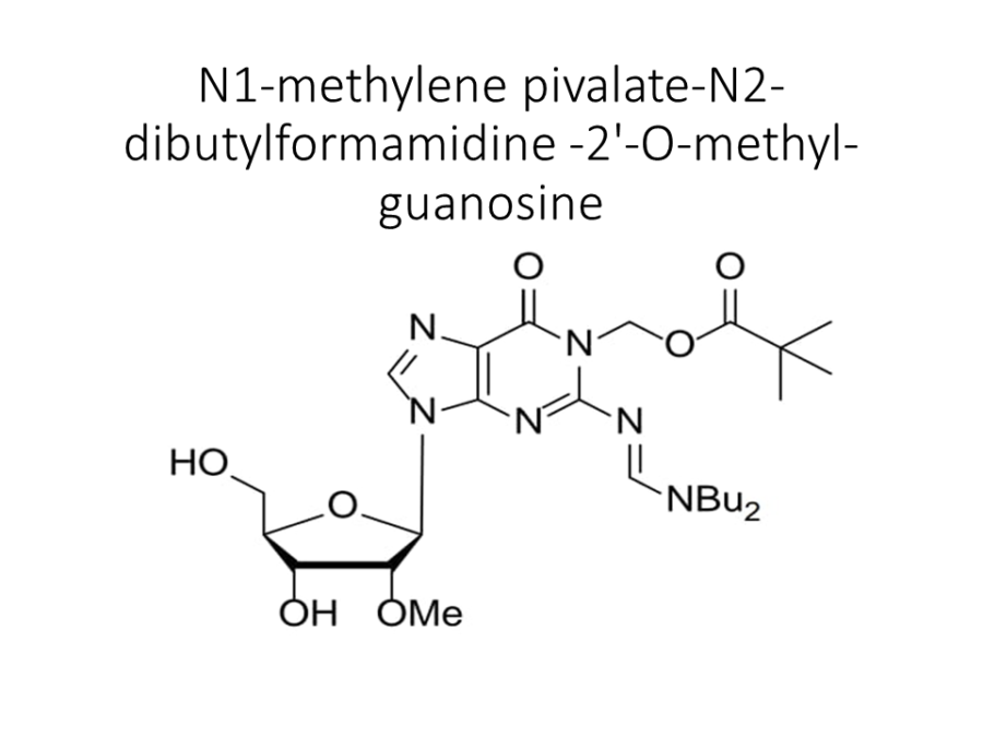 n1-methylene-pivalate-n2-dibutylformamidine-2-o-methyl-guanosine