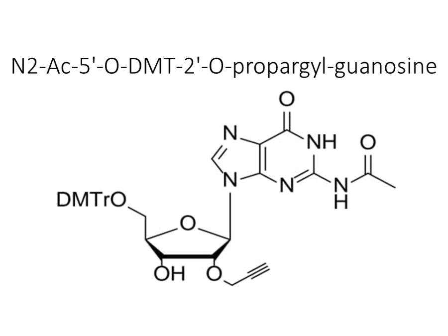 n2-ac-5-o-dmt-2-o-propargyl-guanosine