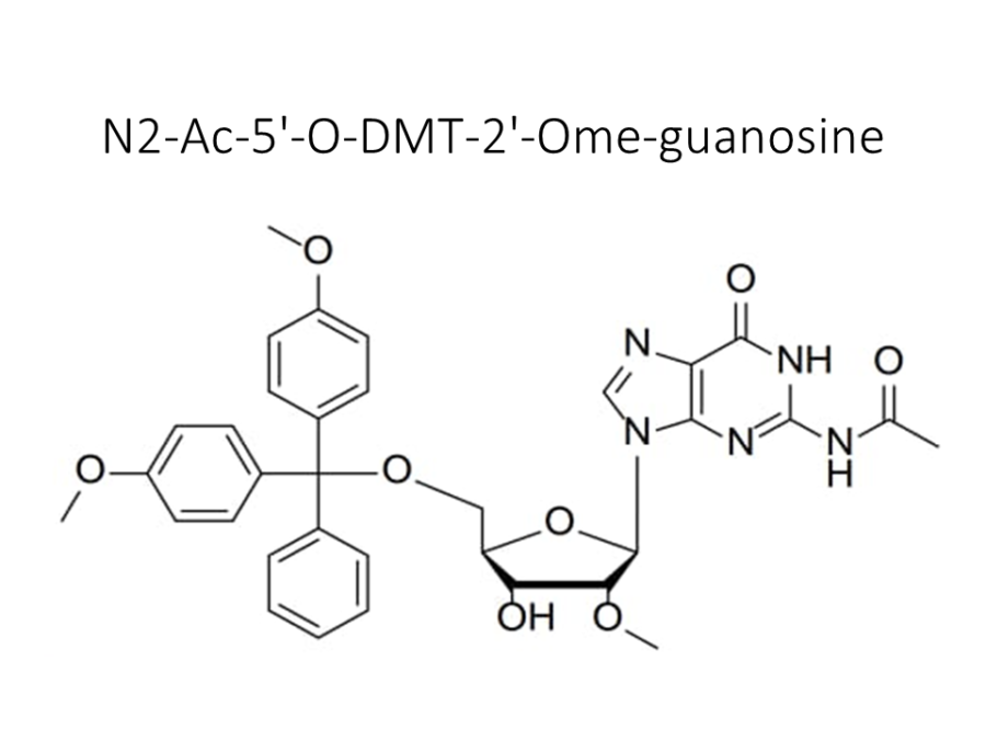 n2-ac-5-o-dmt-2-ome-guanosine