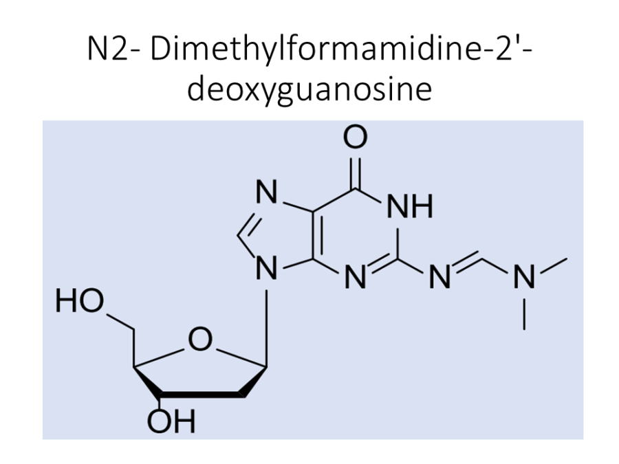 n2-dimethylformamidine-2-deoxyguanosine