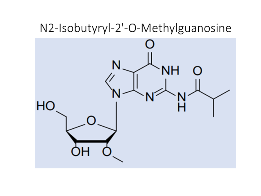 n2-isobutyryl-2-o-methylguanosine