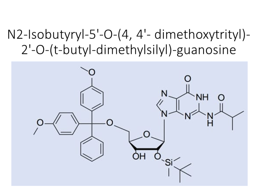 n2-isobutyryl-5-o-4-4-dimethoxytrityl-2-o-t-butyl-dimethylsilyl-guanosine