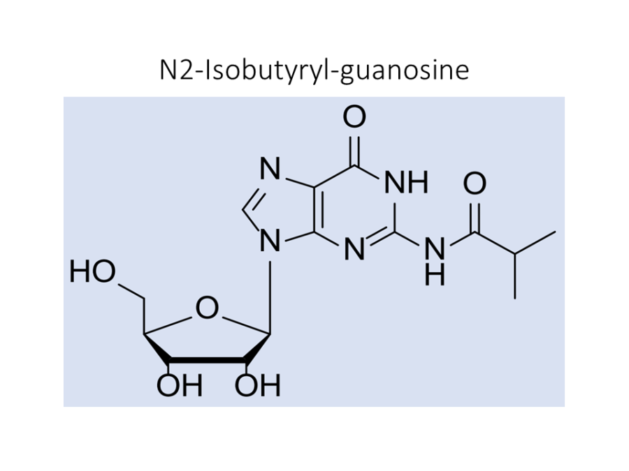 n2-isobutyryl-guanosine