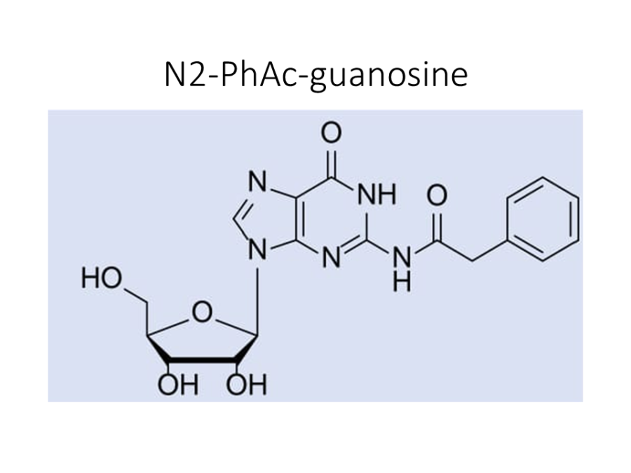 n2-phac-guanosine