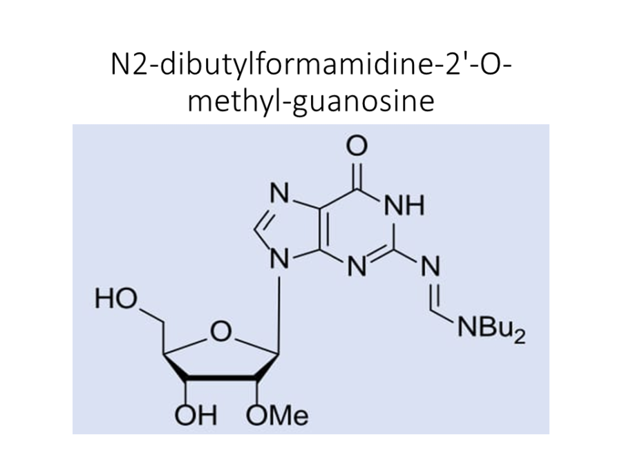 n2-dibutylformamidine-2-o-methyl-guanosine