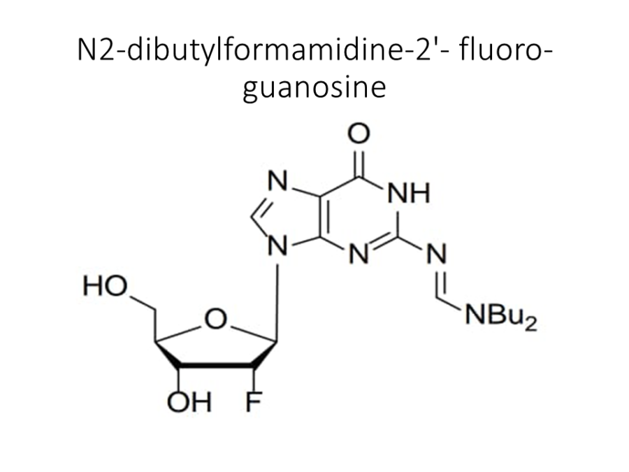 n2-dibutylformamidine-2-fluoro-guanosine