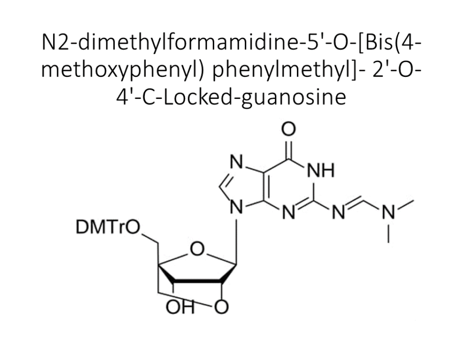 n2-dimethylformamidine-5-o-bis4-methoxyphenyl-phenylmethyl-2-o-4-c-locked-guanosine