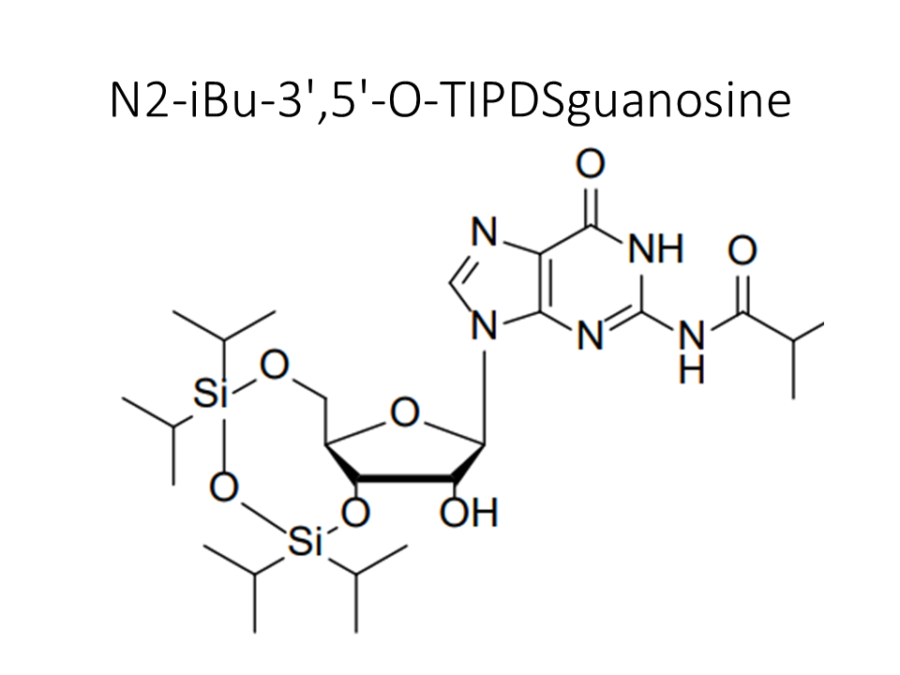 n2-ibu-35-o-tipdsguanosine