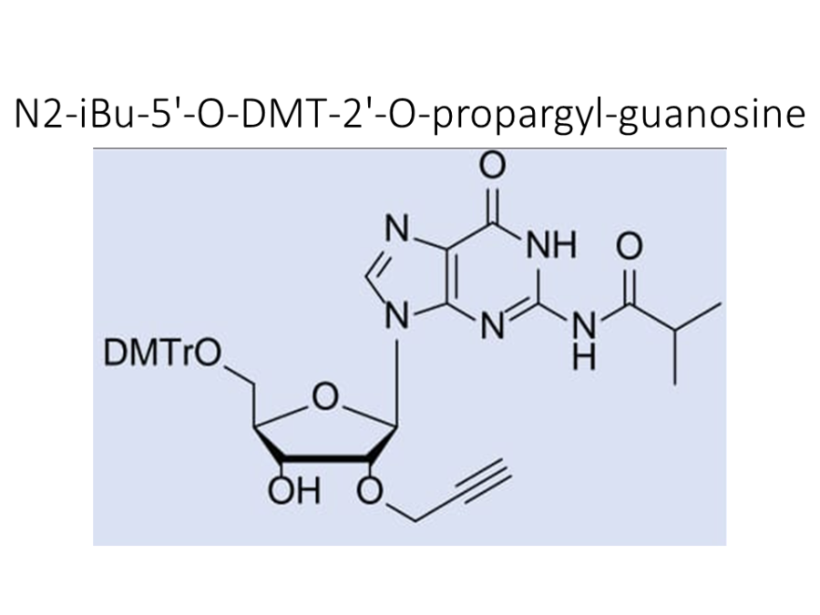 n2-ibu-5-o-dmt-2-o-propargyl-guanosine