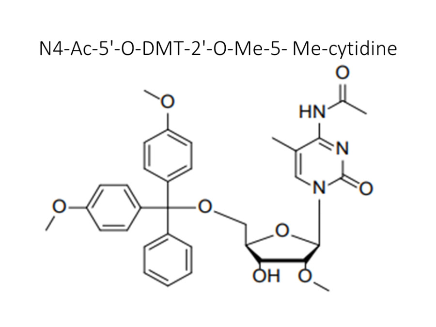 n4-ac-5-o-dmt-2-o-me-5-me-cytidine