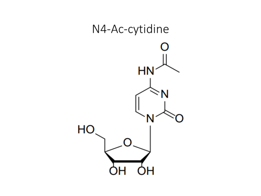 n4-ac-cytidine