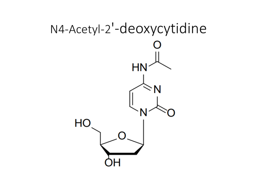 n4-acetyl-2-deoxycytidine